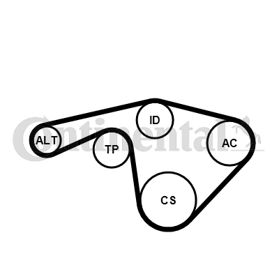 CONTINENTAL CTAM 6PK1345...